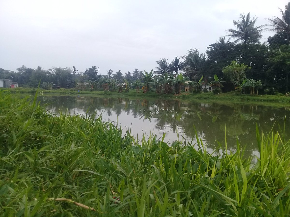anton_zxo's tweet photo. Mancing🎣 https://t.co/Ytaq11CA6e