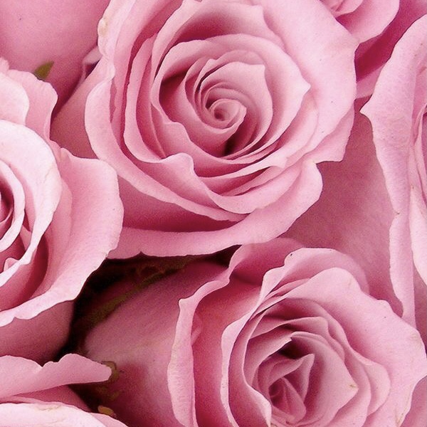 68. If you could commit any crime and not go to jail, what would it be?