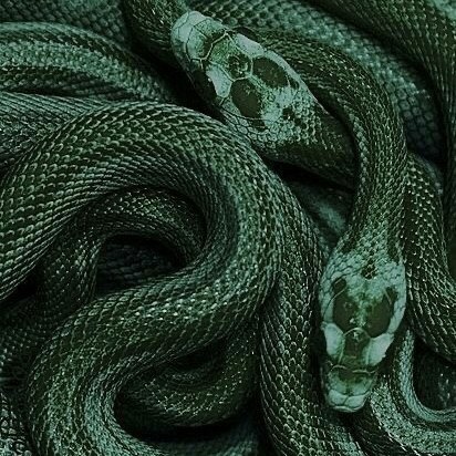 64. What's the ultimate fanbase?