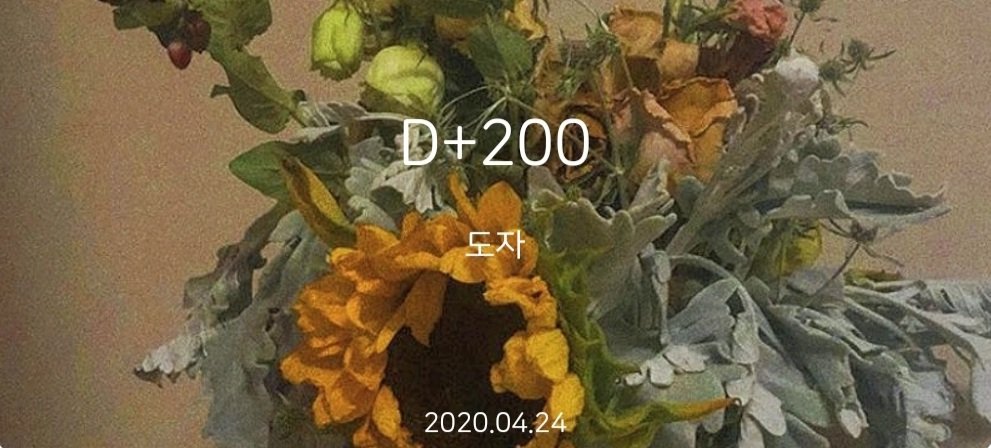everlastingsea_'s tweet photo. 벌써 계정 200일...! 앞으로도 잘 부탁드립니다💛 https://t.co/9KnIJAdXcv