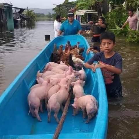 LSofiaDim's tweet photo. Cuando la rifa del avión, los recursos nunca llegaron a los que ganaron el concurso. Cuando los niños con cancer, las medicinas nunca llegaron a los enfermos. ¿Que les hace pensar que hará llegar los recursos a Tabasco? https://t.co/ZtWiaC0uxm