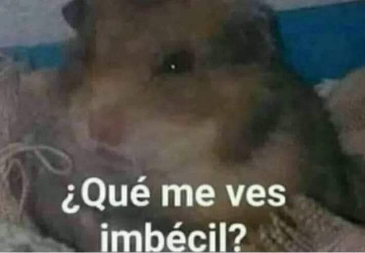 _jeffrey_valle's tweet photo. *Mi hermano mirándome después de que me pegaran por su culpa*
Yo: https://t.co/Ofbt5oNHdJ