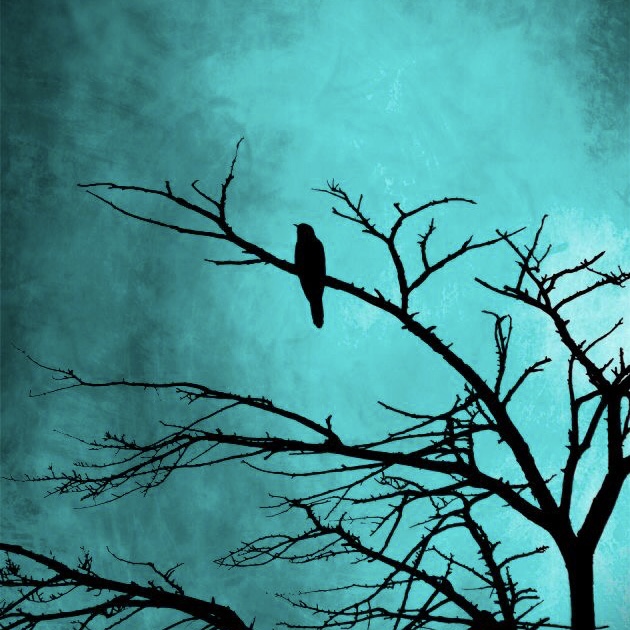 75. Tag a person you want to be mutuals with.