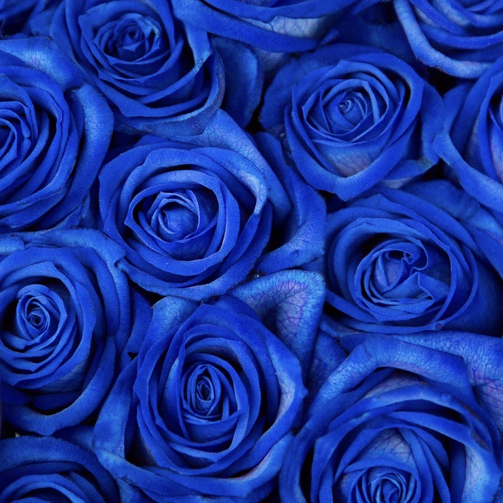 76. Are you a creative or logical person?