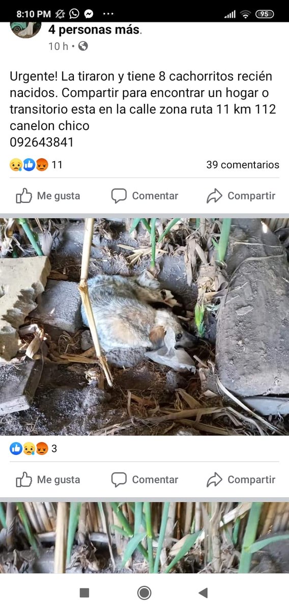 Vds3333's tweet photo. Quien ayuda ???
Miren foto https://t.co/lh2Bxry5fU