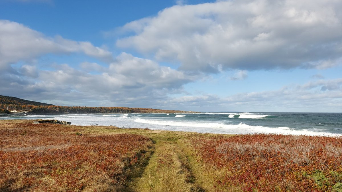 steinjhh's tweet photo. Surfing is a pastime #newfoundland on a day like this which is not unusual https://t.co/bE2rhearXU