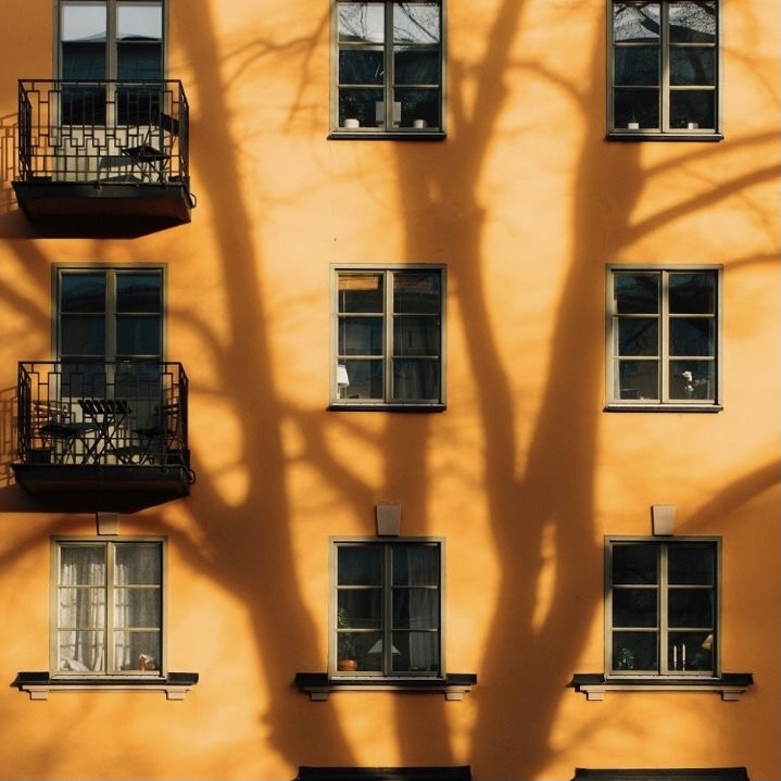 83. Green, yellow or orange leaves?