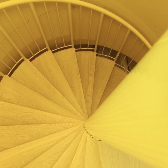 83. Green, yellow or orange leaves?