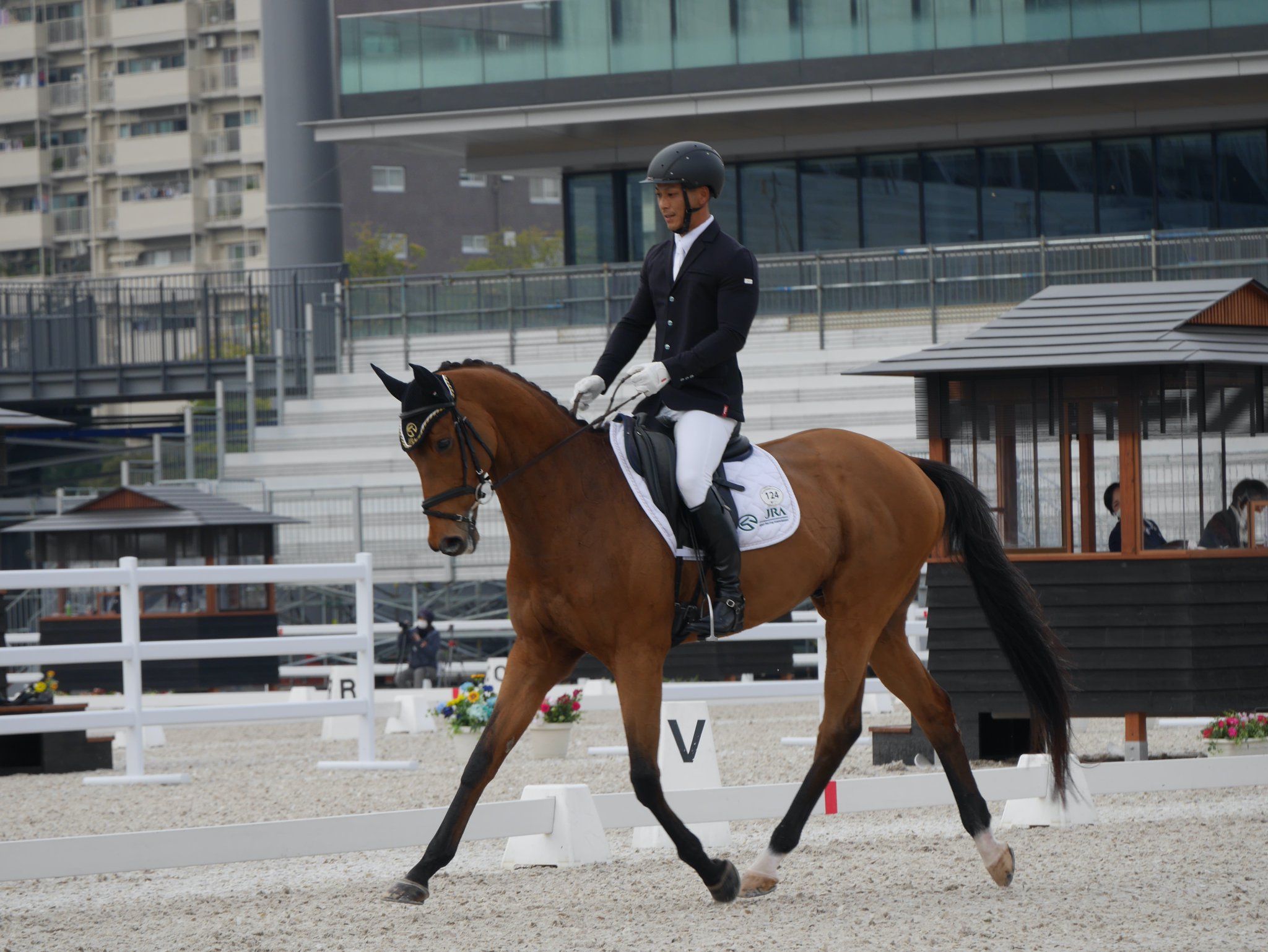 ドレッサージュのヒント : 乗馬調教と騎手教育 : ドイツ馬術方式の実践 乗馬調教と騎手教育 ドレッサージュのヒント―ドイツ馬術方式の