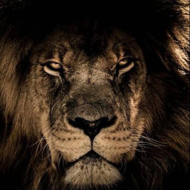 KING_Andrian's tweet photo. #FotoProfilBaru https://t.co/eV6FwIrOVl