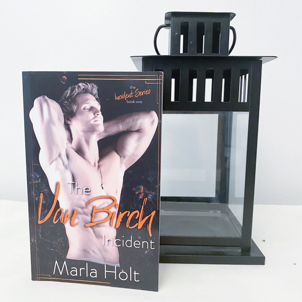 lucyedenauthor's tweet image. This month's issue of Notes from Paradise (bit.ly/nfp102020) has a chance to win $50 AMZ GC, author swag &amp;amp; 10 signed books inc:⁣⁣⁣

THE VAN BIRCH INCIDENT
@tinydinostudios 

amzn.to/2GOEsWn
*affiliate link*⁣
⁣⁣
Van Birch: Pop Star. A-list starlet. Off-limits.