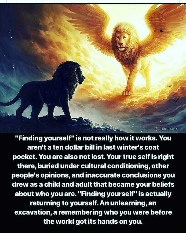 MelanieIfield's tweet photo. Saw this on FB, shared by a friend from #dolorescannon
So perfect. Truly.
.
#findyourself #rememberyourself #betrue #beyou #befree #bereal #consciousliving #authenticself #authenticity #freedom #personalgrowth #life #love #joy #inspire #inspirationalquo… https://t.co/GmEARxJCoQ https://t.co/GKpqGGNap3
