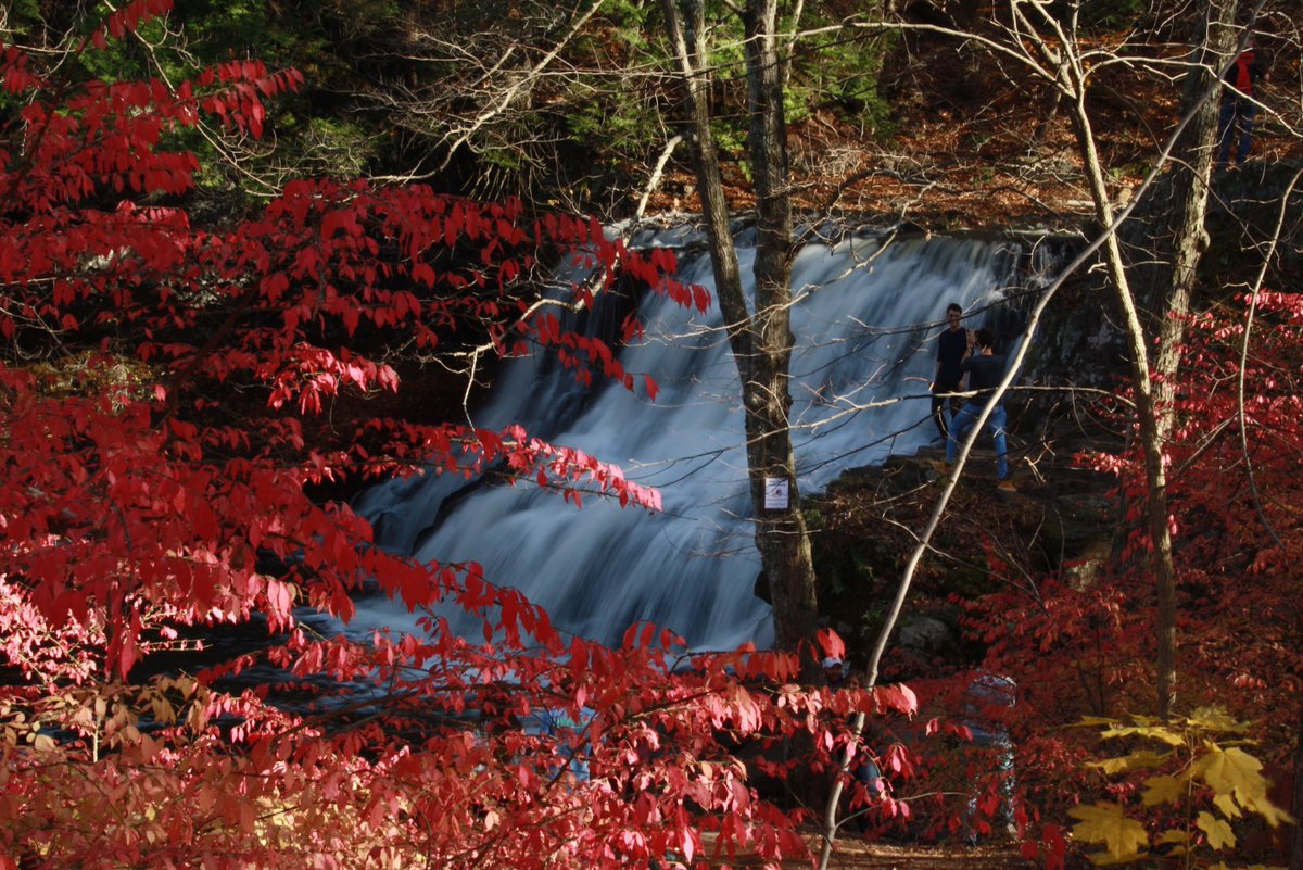 Acupofassamtea1's tweet photo. https://t.co/WxhmJ6ZPhh #fallinnewengland #fall #fallfaliage #fallinconnecticut https://t.co/7fimhL6KxH