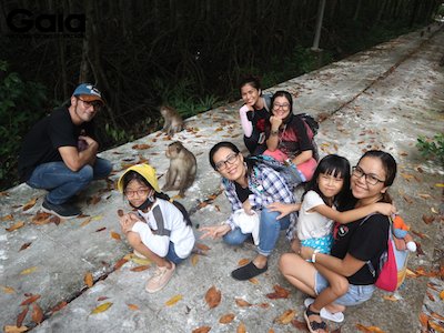 Gaiavn's tweet photo. Gaia Nature Conservation Center organizes an itinerary for afforestation and nature experience for more than 50 members of Sparx * - A Virtous Studio at Can Gioi Biosphere Reserve Hours. https://t.co/zeenuHowMz