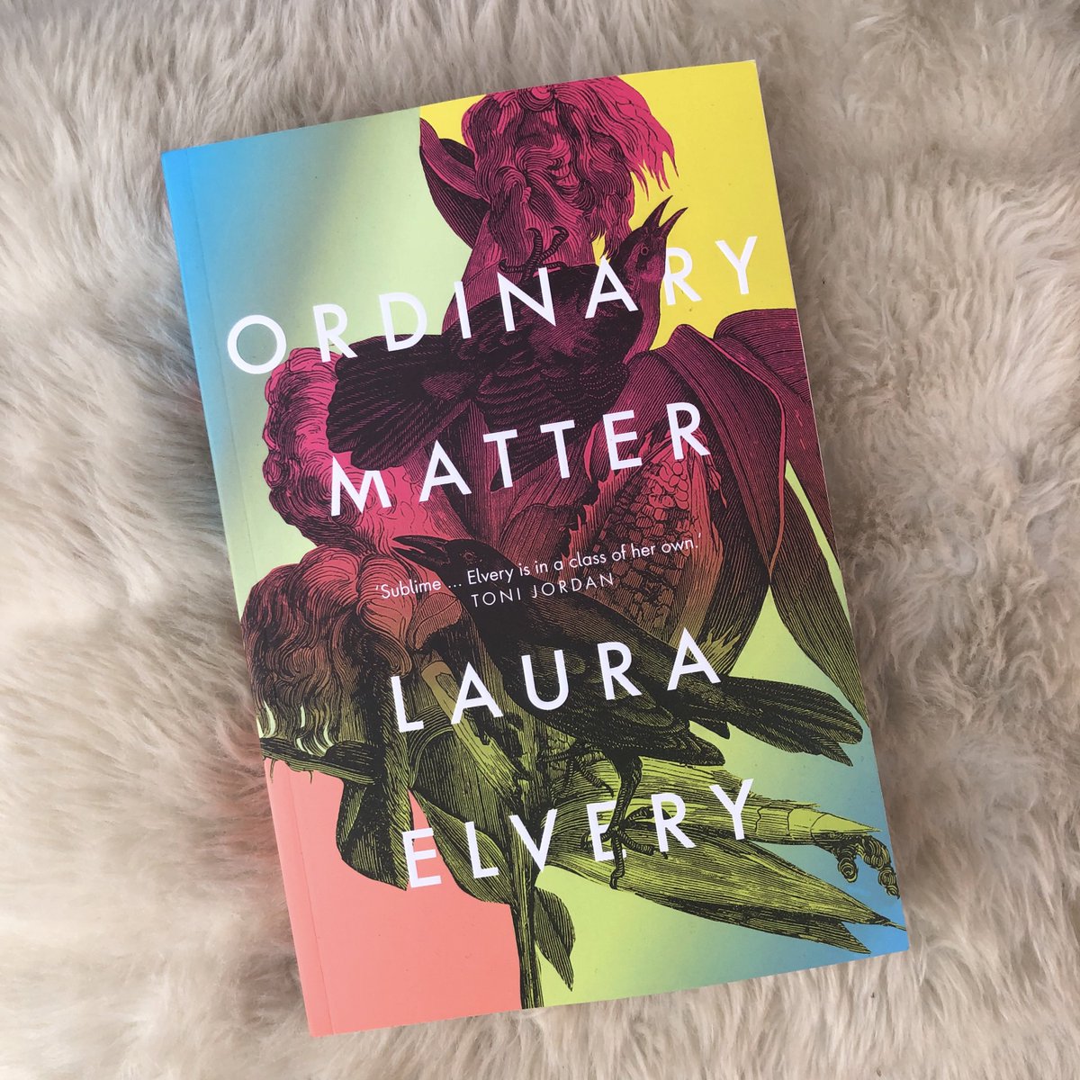 Ordinary Matter, by Laura Elvery  @UQPbooks I've only just started this collection of short stories by  @lauraelvery but am thoroughly enjoying it so far. Inspired by the twenty times women have won Nobel Prizes for science.