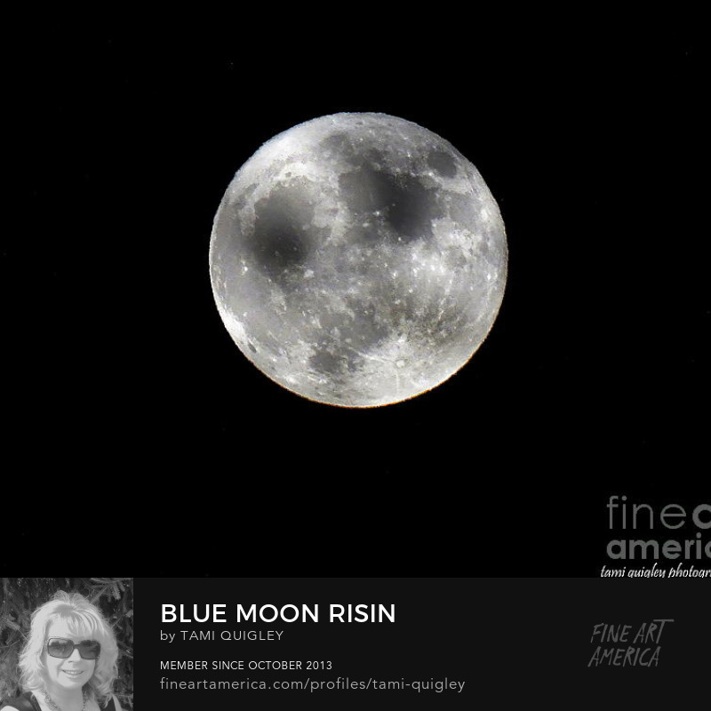 tamitrailscapes's tweet photo. See this Instagram photo by @tami.quigley https://t.co/AQeclFikqq Blue Moon Risin' #MondayVibes #BlueMoon #bluemoon2020 #artprint #cool #giftideas #decor #facemasks #jigsawpuzzle #LehighValley #OnlineShop #artistsoninstagram #Allentown #MetalPrint #CanvasPrints #wallartforsale https://t.co/qJIoQLRHrw