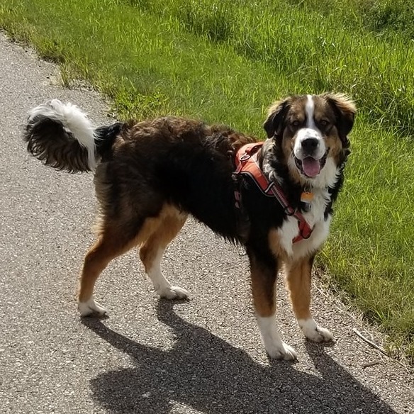 DeclaredBishop's tweet photo. People have been asking, so, here is some pictures of "Declared Bandit" @Kiitarie https://t.co/ivUVuajIHM