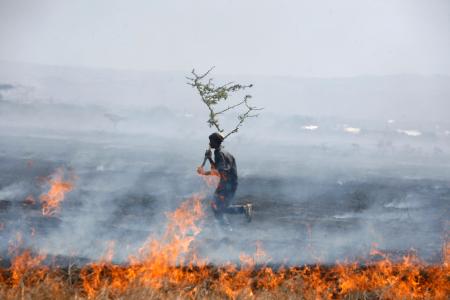 I took a look through the  @guardiannews tag on wildfires for the year to date.Unsurprisingly, majority of the content is reporting on Australia & the US, with occasional articles on Arctic & Indonesia.The only mention of Africa is on Mt Kilimanjaro https://www.theguardian.com/world/wildfires 