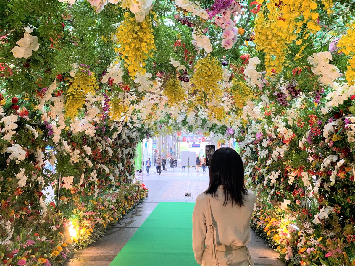 熊本市 على تويتر 花のギフト券が当たるキャンペーン 今 インスタグラムで 街なか花いっぱい運動 のハッシュタグ でお花の画像を投稿すると 抽選で10名様に花と緑のギフト券が当たります 週末に開催された まち はなパビリオン での写真や秋の紅葉風景