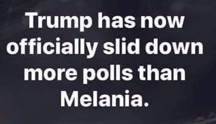 FTP_2015's tweet photo. 🤣🤣🤣 @realDonaldTrump @MELANIATRUMP 
#GETOUTOFOURHOUSE 
#NotMyPresident 
#ThePeopleHaveSpoken 
#BidenHarris2020 https://t.co/FC8OJ1UKBM