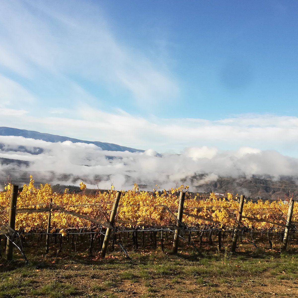 Les primeres boires ens visiten 〰️