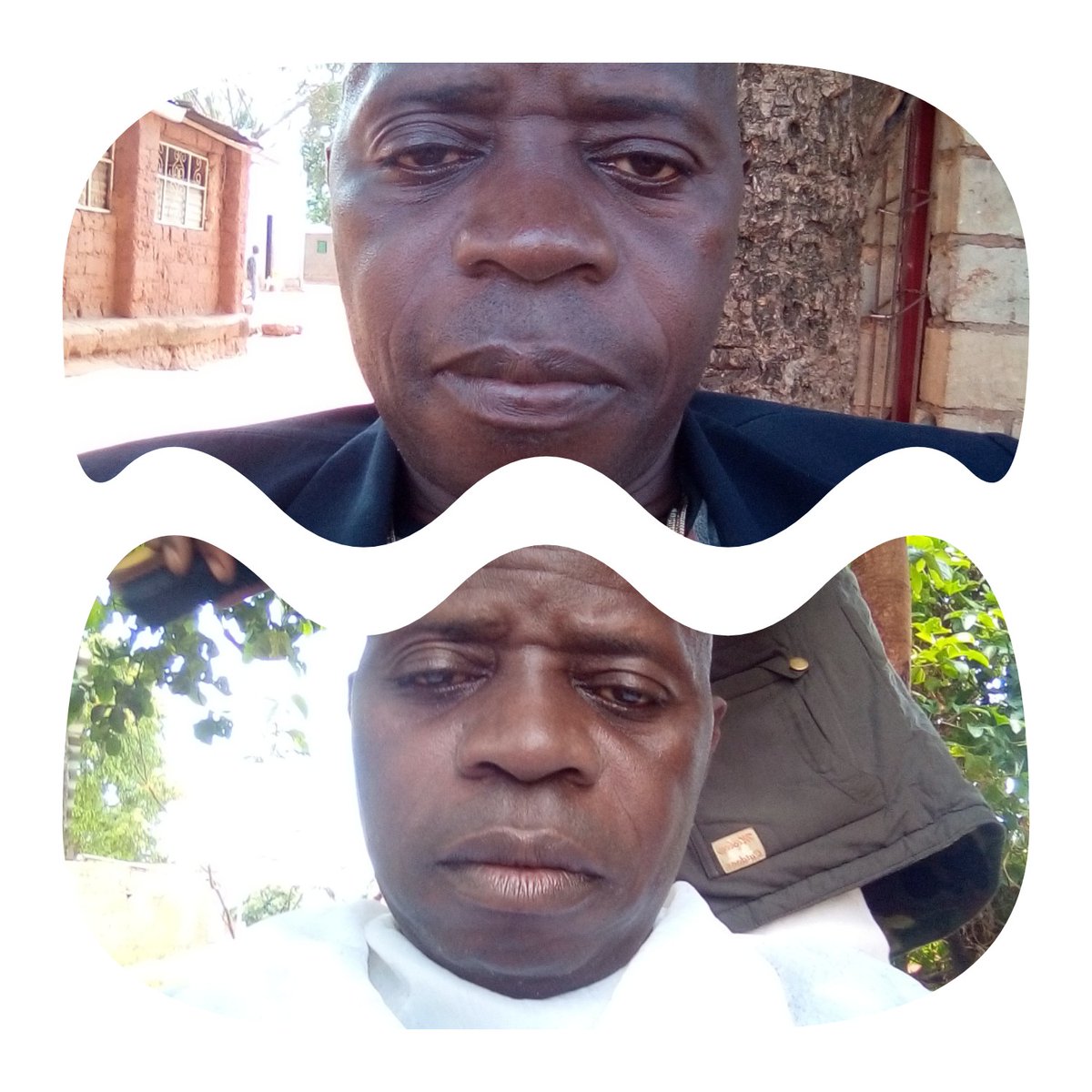 BernabeuJonas's tweet photo. Vosso Amigo de sempre @lyrebirdstudio https://t.co/ONd0Wj5dKj