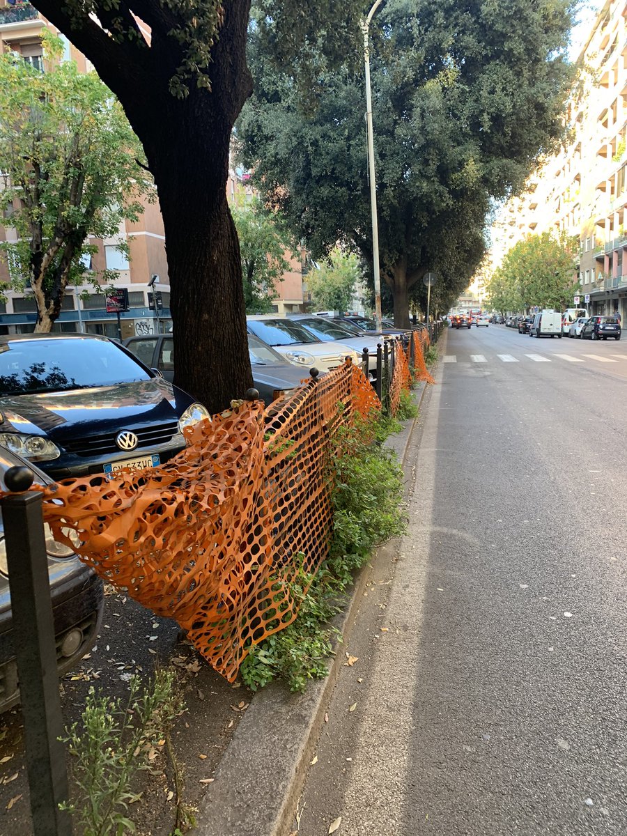 ReteArancione's tweet photo. @stormi1904 @battaglia_persa Con le piante mi trovo bene, mi è venuto il #polliceverde a forza de curà le #frasche #romaarancione #fraschearancioni https://t.co/sxyJCTxQRy