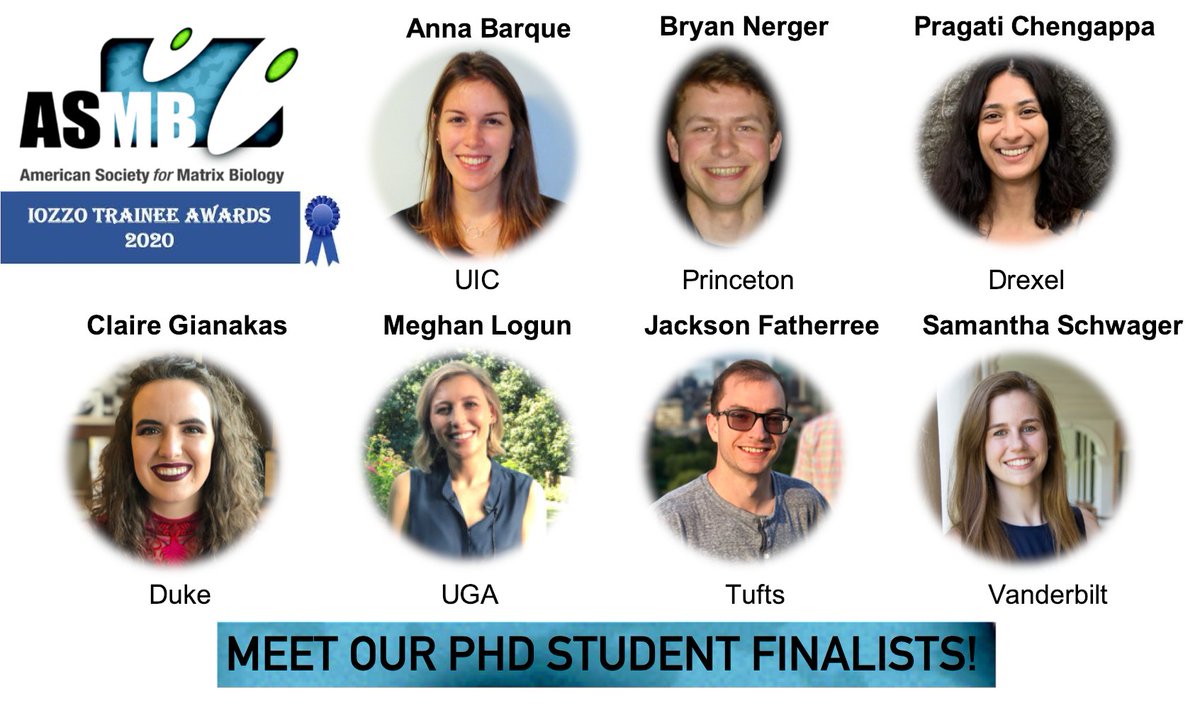 amsocmatbio's tweet photo. Countdown to our inaugural Iozzo Trainee Award @iozzo_v 📢 Meet our first series of finalists for Thursday - with topics ranging from #cancer to #development to #mechanobiology, but all related to #ECMatrix! Sign up here: https://t.co/ukOeml4KOI https://t.co/9BtSw6xUtU