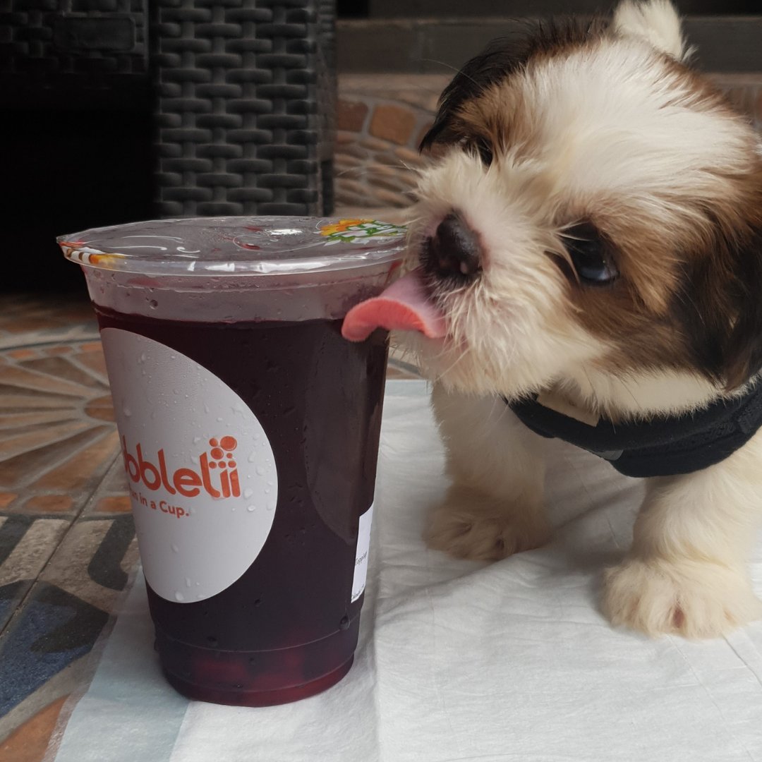 Bubble Tii tweet media