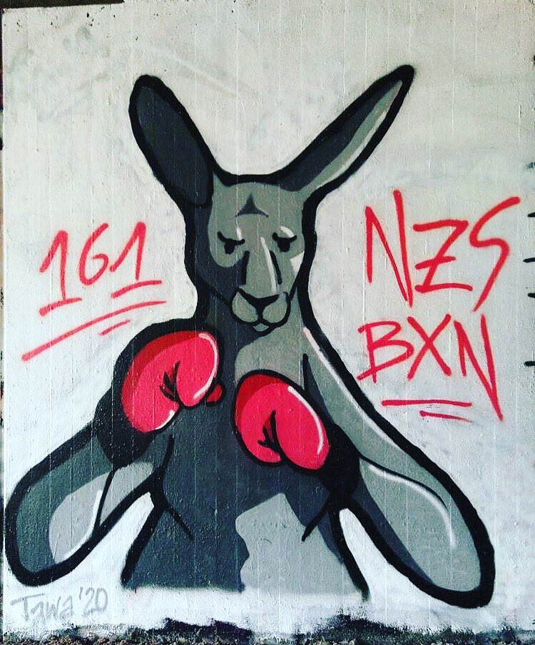 This graffiti from Gottingen is 👌🏻👊🏻 #fcknzs #nzsbxn #antifascistgraffiti #161crew #antifascist #0161festival