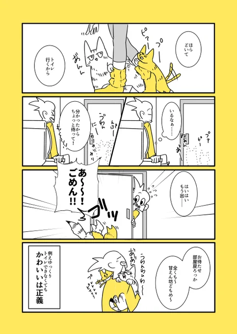 飼い主のトイレには絶対ついてくる猫 