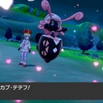 色違いポケモン 随時更新予定 Min T ミント