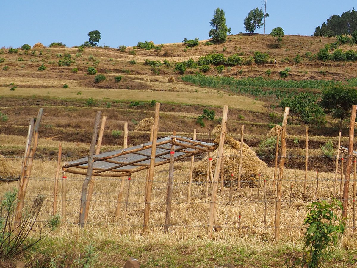 RouskLab's tweet photo. Are you interested in a PhD student position @rousklab, @Biology_LU investigating the #microbial #responses to #drought and #DryingRewetting cycles? Look no further than here: https://t.co/tz8ZZFTUjk https://t.co/SDIS1s9x89