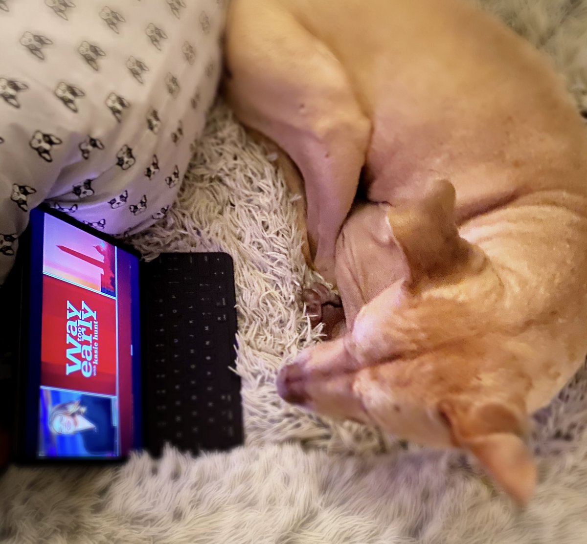 oneluckypuppy's tweet photo. Itโs 5am and Iโm up #waytooearly bc... pawlitics. #whyareyouawake @WayTooEarly @kasie ๐พ https://t.co/5ehikpUiha