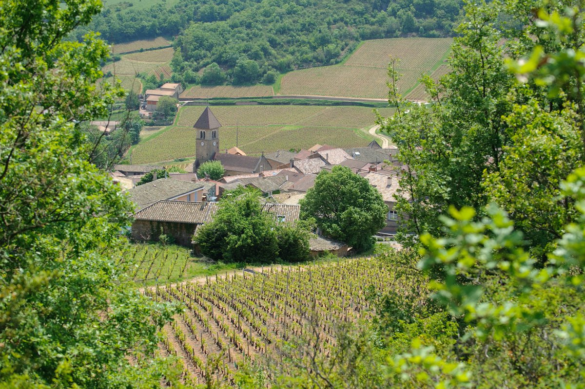 WEBINAIRE : Articuler les démarches territoriales de #transition écologique
▶ Le 10 décembre de 9h30 à 12h le #Cerema propose 1 webinaire sur les démarches territoriales de transition énergétique et écologique, leur mise en œuvre et leur complémentarité.
cerema.fr/fr/evenements/…