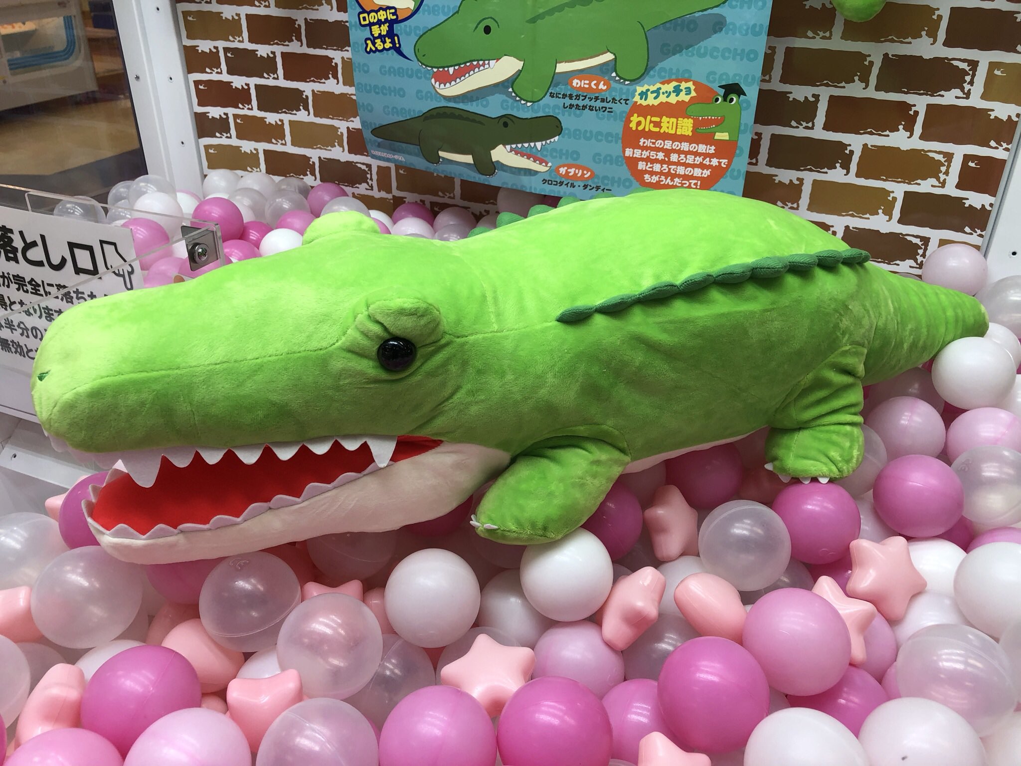 tyワニ　ぬいぐるみ ty ぬいぐるみ ワニ 新品タグ付 ワリー 2個 - メルカリ