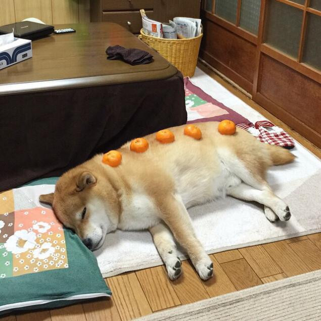 Line送れない Line送れない