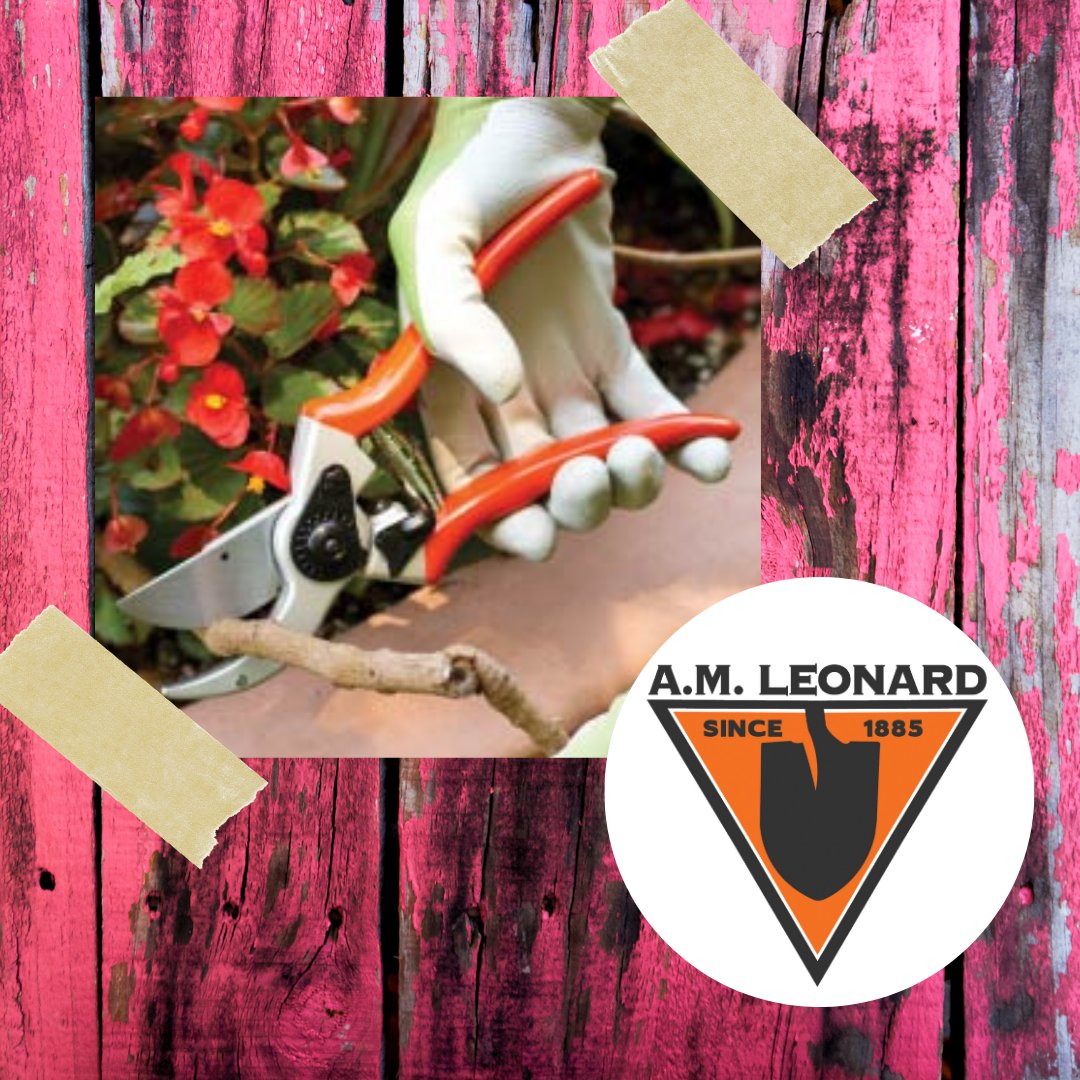 shellsfeed's tweet photo. We began carrying A.M. Leonard because we wanted to carry quality tools for you to use at a reasonable price. Many of their tools have a lifetime warranty against defects! They've been around a long time, longer than us even! We like that. #AMLeonard #ShellsFeed #Tools https://t.co/qe1UnxESO2