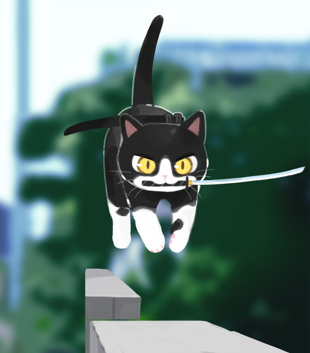 gentleeeeeeecat's tweet photo. 후쿠오카의 닌자
福岡の忍者 https://t.co/OaYxm0HLPe