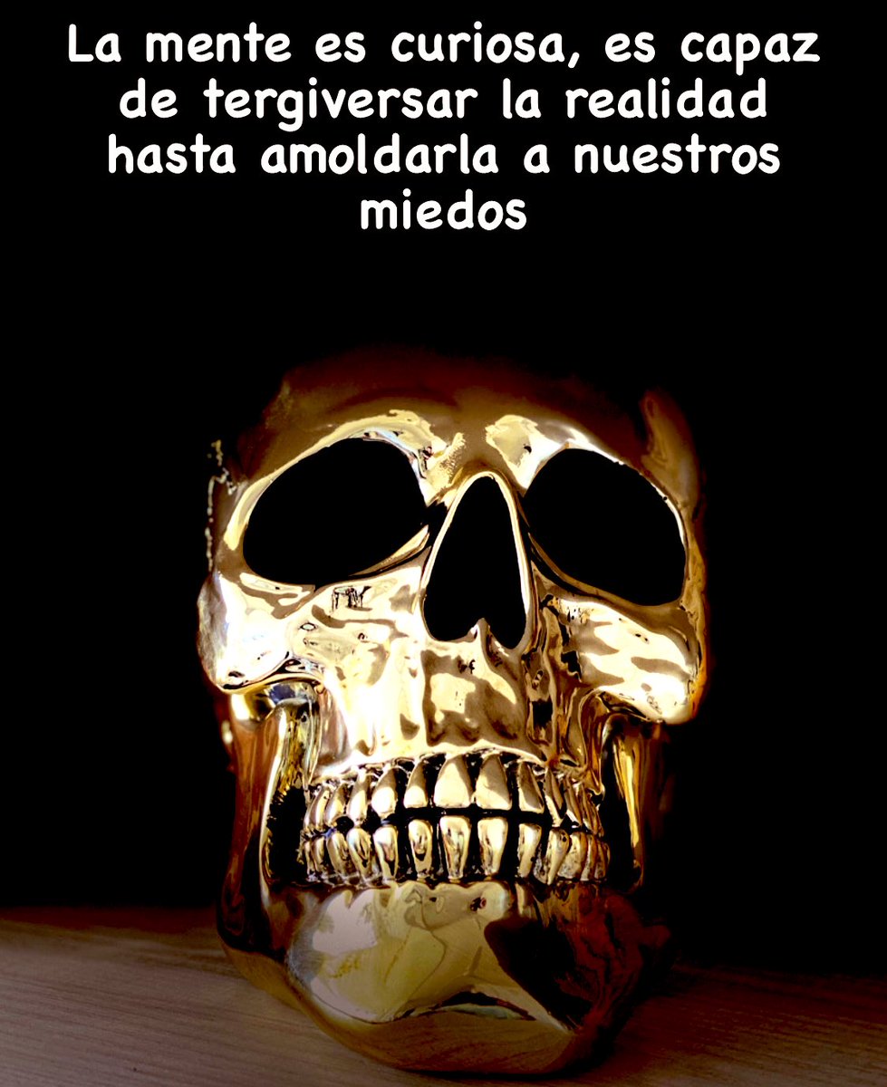 DavidArizaAbad's tweet photo. La mente es curiosa, es capaz de tergiversar la realidad, hasta amoldarla a nuestros miedos #freelandcook muy buenos días. https://t.co/sZyOPYmD1v