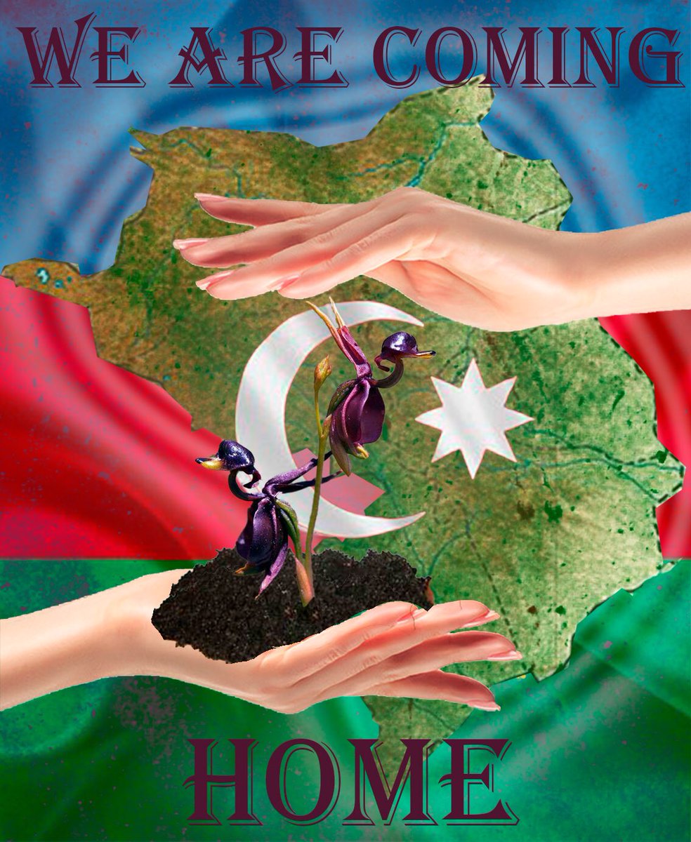 nar_guu's tweet photo. Khari bulbul #KarabakhisAzerbaijan https://t.co/eDn6FtQqml