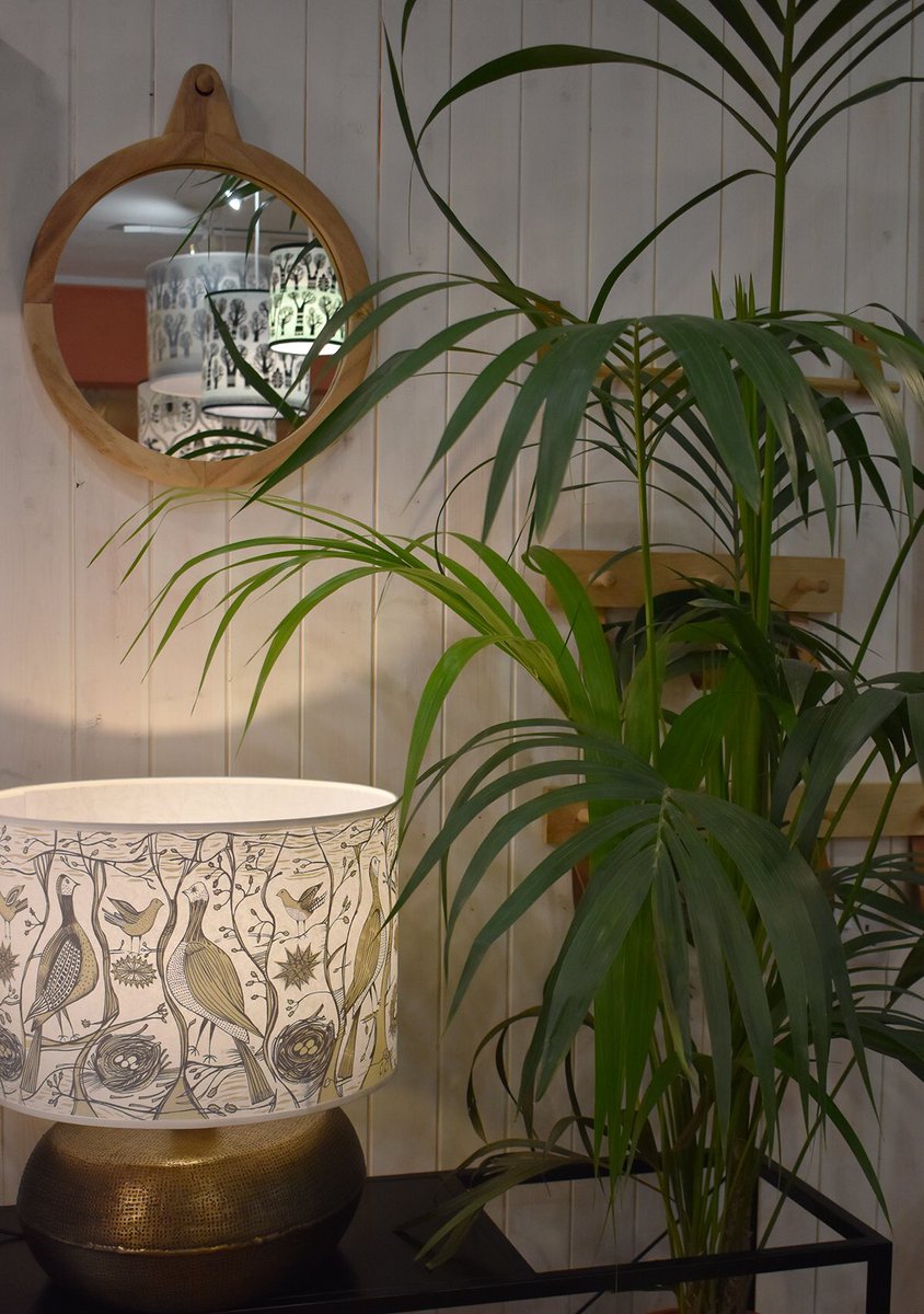 Capturing evening light in the shop. #Truro #cornwall