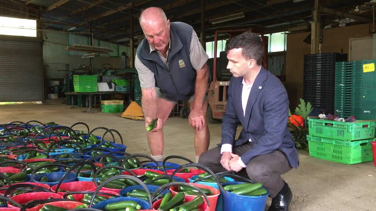nzherald's tweet photo. "Pay has nothing to do with it. This is a bogey they have been pulling out for years and years." https://t.co/jG5Cn0lqgT https://t.co/2wqz1ET7MF