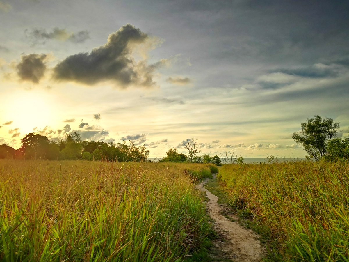 BorneanWingz's tweet photo. Beautiful evening with the #sun setting, after I exit the hiking trail of Canada Hill, Miri. A mud track cuts through the open grass field, splitting the field into two. #saturdayevening #sunset #hiking #hikingtrail #openfield  #miri #sarawak #borneo #Malaysia #siasitoksarawak https://t.co/Q5v74qQzFk