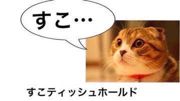 @yamuraichi 実際親しくなってくるとそうなる…そうなる 