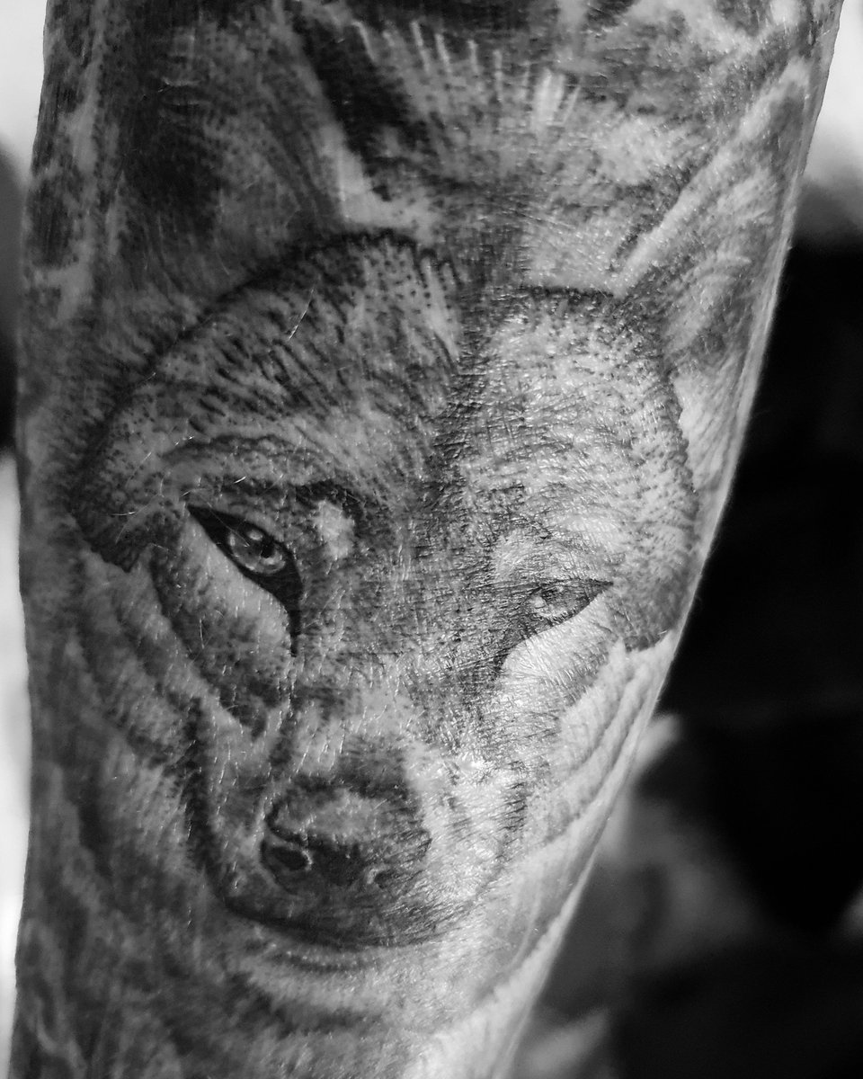 LMG_PHOTOGRAPHY's tweet photo. #scarcoveruptattoo #photography #tattoo #halfsleevetattoo #blackandwhite #wolfoftwitter #tattoosleeve #tattoooftwitter #wolf #wolftattoo #tattooedgirls #tattoodesign #love https://t.co/hxMhz2wYnh