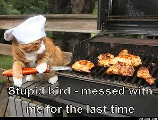 meow2you's tweet photo. Everyone at the party complimented Fritz's excellent grilling skills. No one had seen the neighbor's rare blue parrot for hours. 😬 😹 🤔 🥴
#CookSomethingBoldDay https://t.co/jlhmRIuGZX