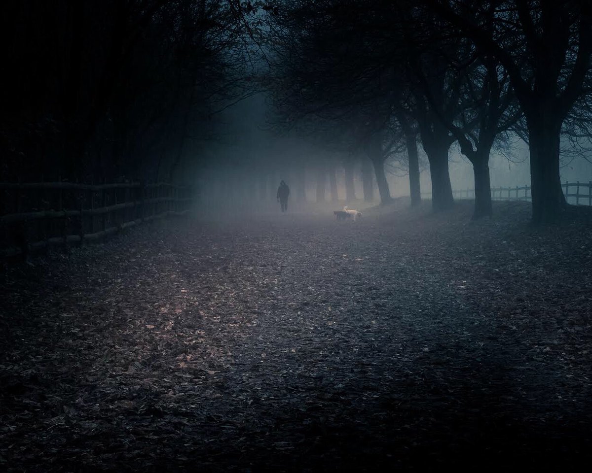 OutdoorReed's tweet photo. Foggy morning mood. Emerging from the mist: the phantom dog walker 👀
#fiftyshades_of_nature #fog #foggy #mist #mist_bestshots #moody_nature #gloomandglow #mood_magic #soft_vision #moody #atmospheric #foggymorning #silhouette #foggywoods #winterfog #eerie #eeriewalk #bleakday https://t.co/wffIazoCua