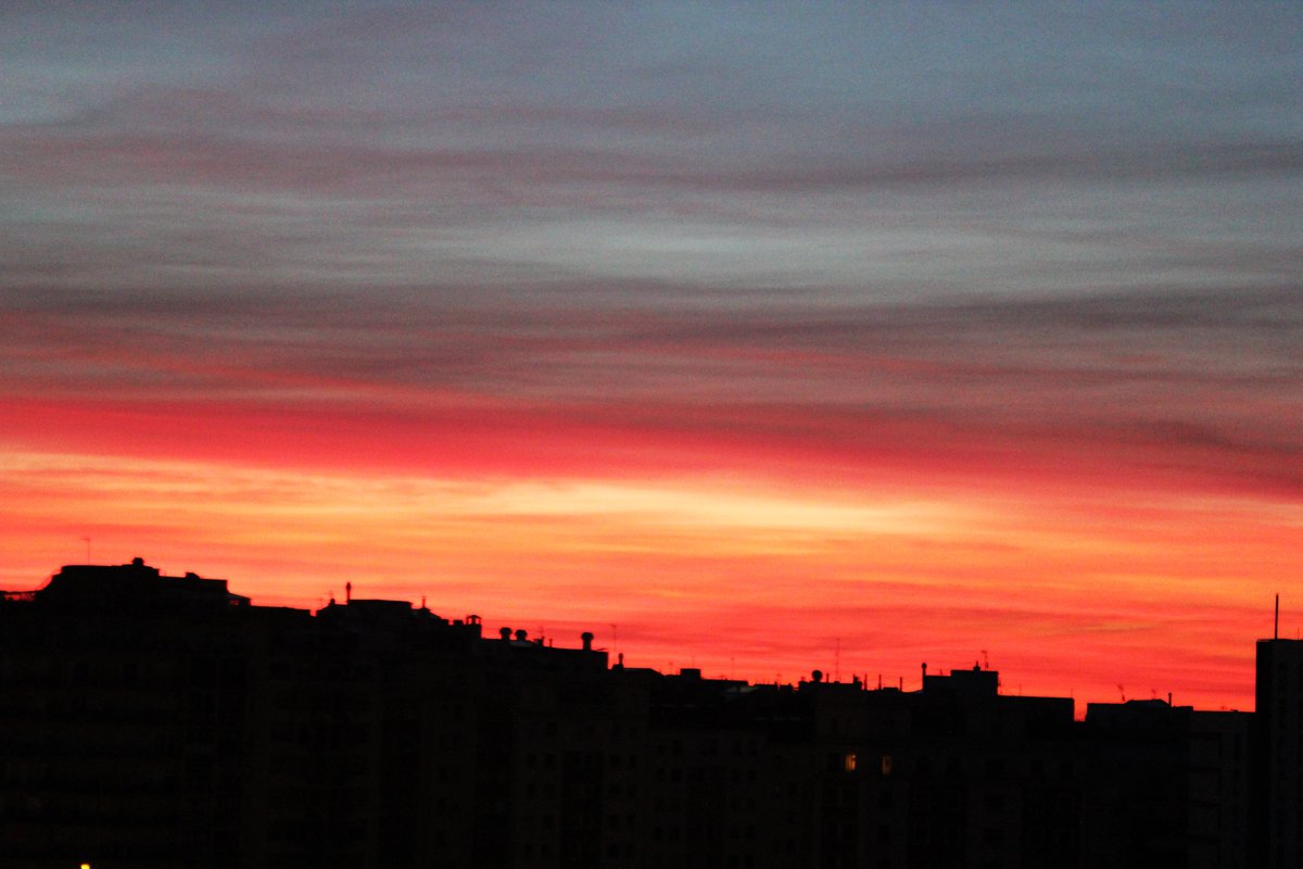 Casa Anita Llibres tweet media