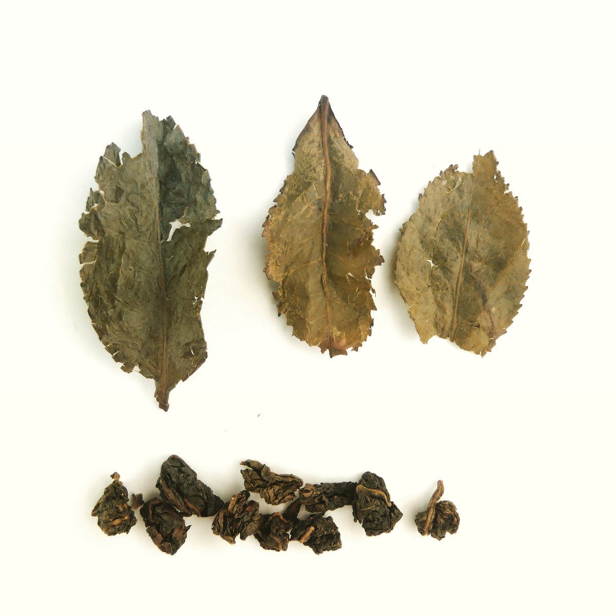 CHAMINGTea's tweet photo. Before and after brewing 💛🌱 #ChamingTea
-
#Oolong #beautiful #greentea #Grünertee #teatime #tealove #drinktea #teaphotography #Teetrinken #art #photography #schön #entspannend #Genuss #blacktea #Schwarzertee #Teeliebe #Teeverkostung #Herbst #lockdown #vegan https://t.co/j2yYc343lY